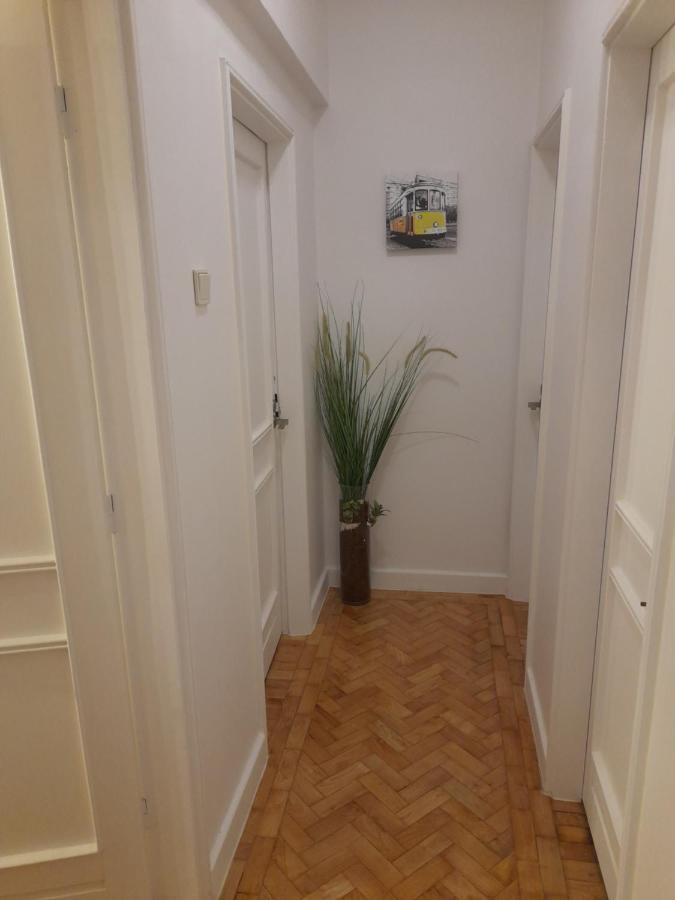 Cozy 3 Bedrooms Bragas Appartement
